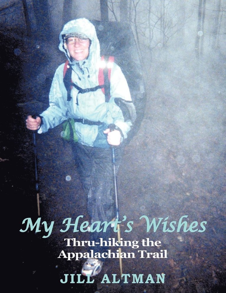 My Heart's Wishes 1
