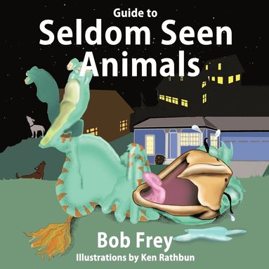 bokomslag Guide to Seldom Seen Animals