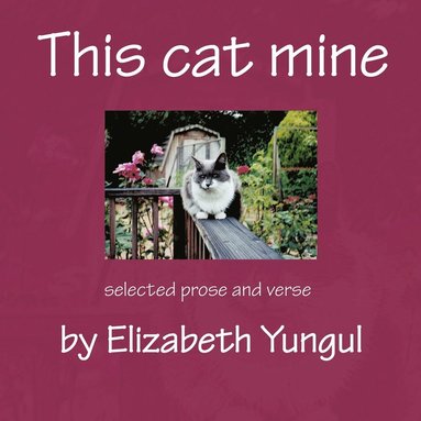 bokomslag This Cat Mine