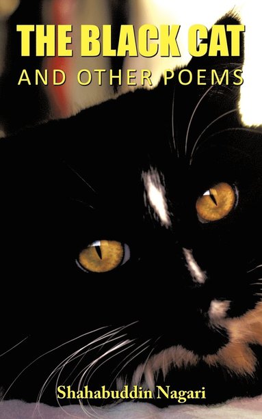 bokomslag The Black Cat and Other Poems