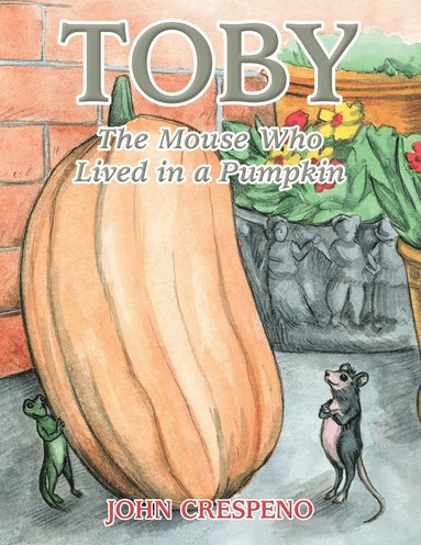 bokomslag Toby