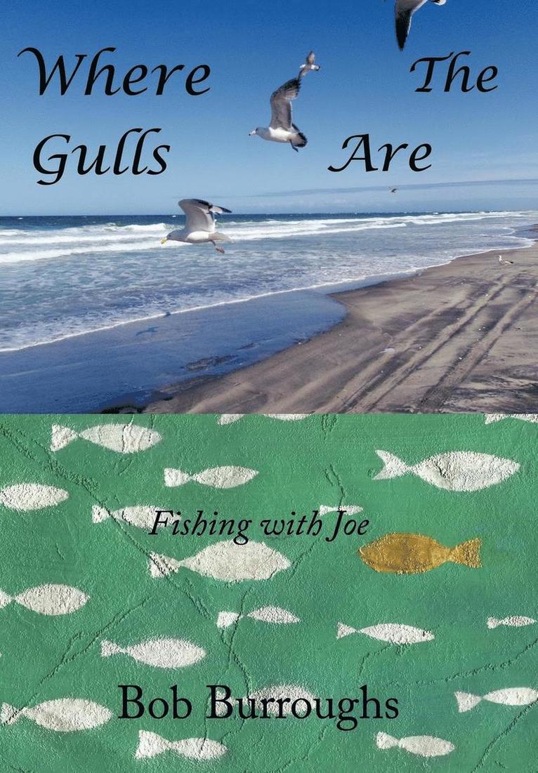 Where the Gulls Are 1