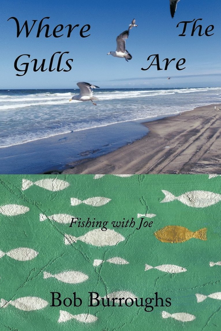 Where the Gulls Are 1