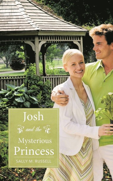 bokomslag Josh and The Mysterious Princess
