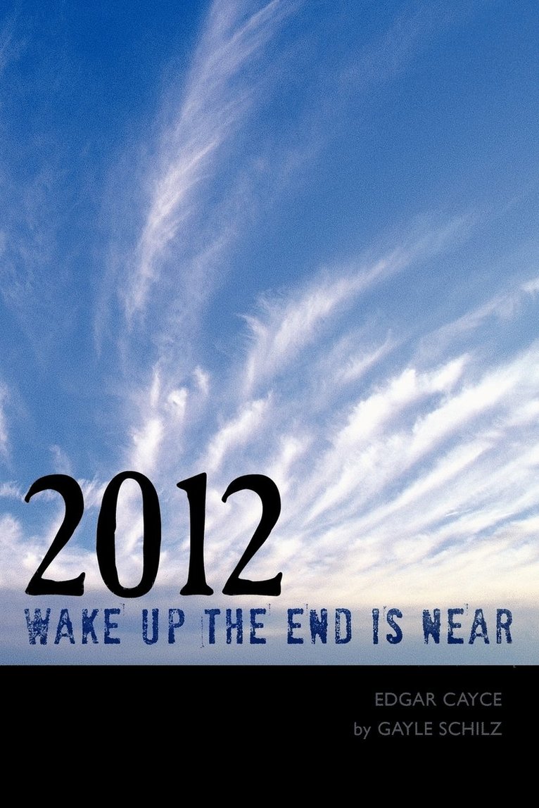 Gayle Schilz - 2012 Wake Up The End is Near, Häftad