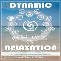 bokomslag Dynamic Relaxation