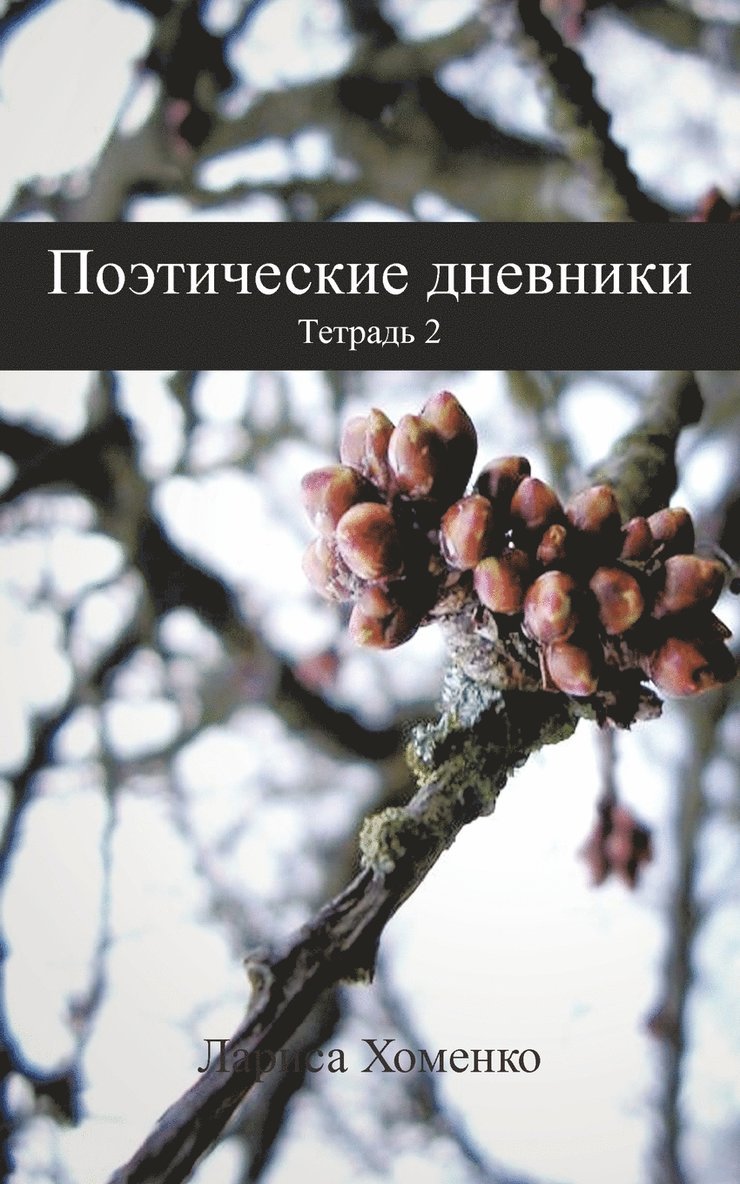 Поэтические дневники