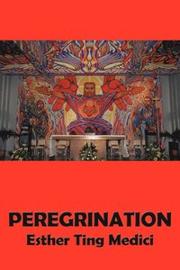 bokomslag Peregrination