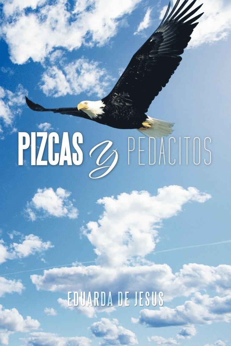 Pizcas y Pedacitos 1