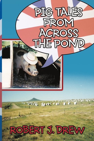 bokomslag Pig Tales From Across the Pond