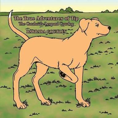 bokomslag True Adventures of Tip The Catahoula-Leopard Cowdog