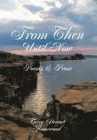 Terry Stewart Homewood - From Then Until Now, Inbunden