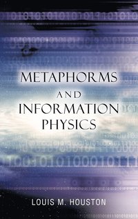 bokomslag Metaphorms and Information Physics