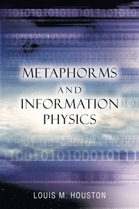 bokomslag Metaphorms and Information Physics