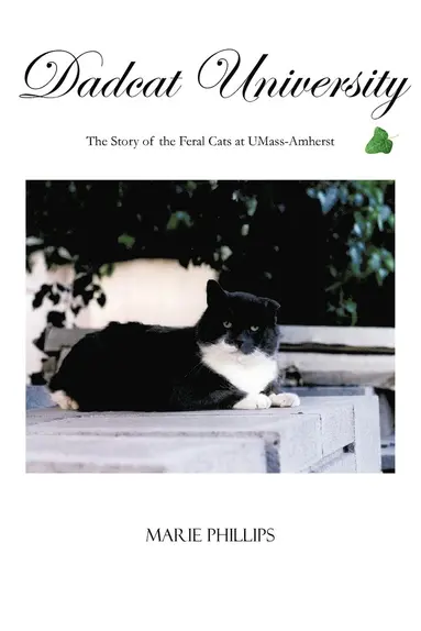 Marie Phillips - Dadcat University, Häftad
