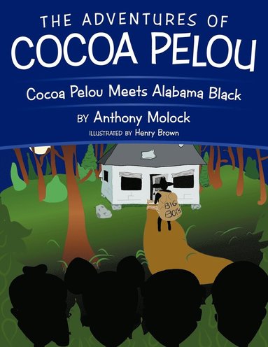 bokomslag The Adventures of Cocoa Pelou