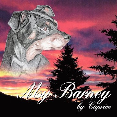 bokomslag My Barney