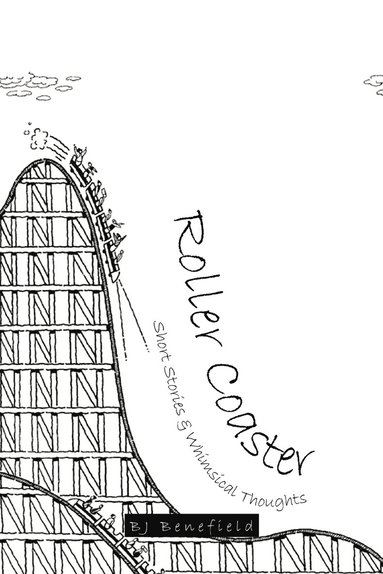 bokomslag Roller Coaster