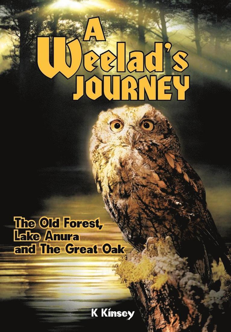 A Weelad's Journey 1