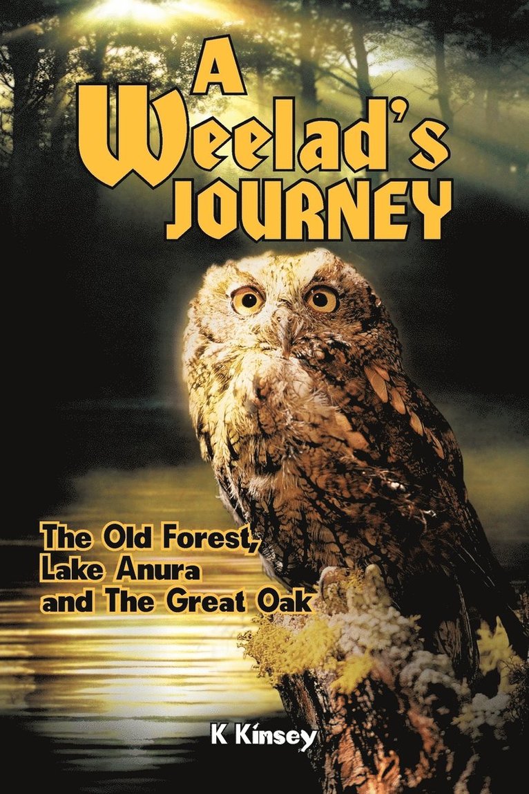 A Weelad's Journey 1