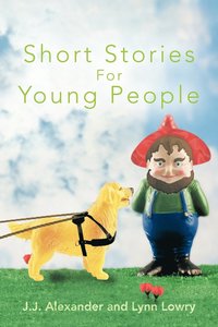 bokomslag Short Stories For Young People