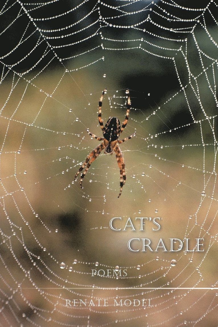 Cat's Cradle 1