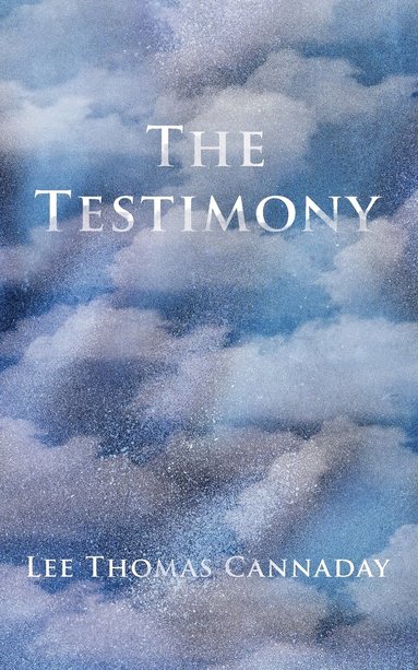bokomslag Testimony