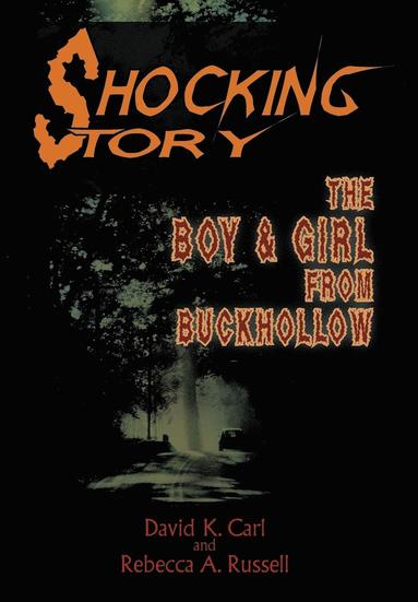 bokomslag Shocking Story