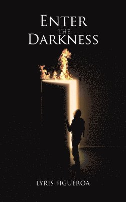 bokomslag Enter The Darkness