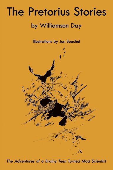 bokomslag Pretorius Stories