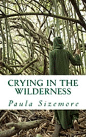 bokomslag Crying in the Wilderness: A poetical exploration