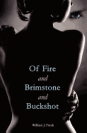 bokomslag Of Fire and Brimstone and Buckshot