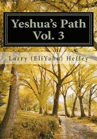 bokomslag Yeshua's Path, Vol. 3: Hebrews: The Torah