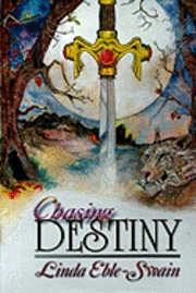 bokomslag Chasing Destiny