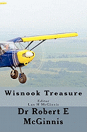 bokomslag Wisnook Treasure: Wisnook Series