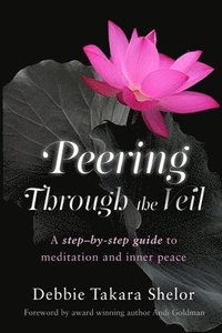 bokomslag Peering Through the Veil: The Simple Step-by-Step Guide to Meditation and Inner Peace