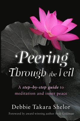 Peering Through the Veil: The Simple Step-by-Step Guide to Meditation and Inner Peace 1