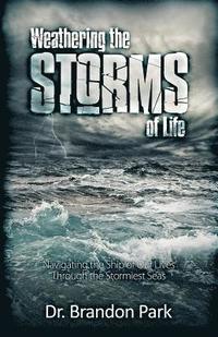 bokomslag Weathering the Storms of Life: Navigating the Ship of Our Lives Through the Stormiest Seas