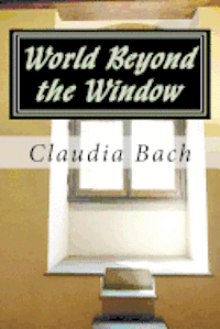 bokomslag World Beyond the Window