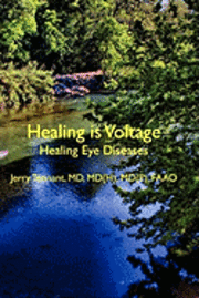 bokomslag Healing is Voltage: Healing Eye Diseases