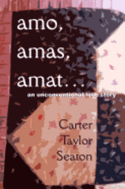 bokomslag amo, amas, amat...: An Unconventional Love Story