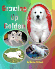 bokomslag Growing Up Golden: Raising Golden Retrievers