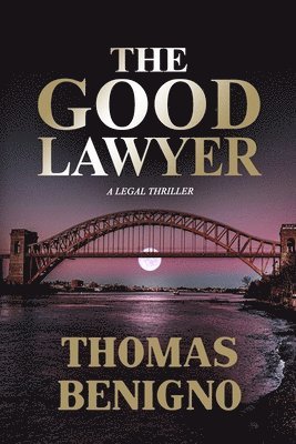 The Good Lawyer 1