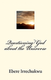 bokomslag Questioning God about the Universe