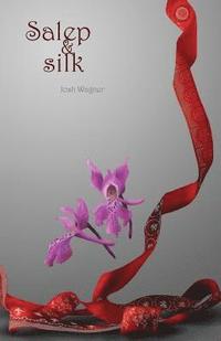 bokomslag Salep & Silk