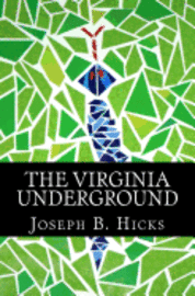 bokomslag The Virginia Underground