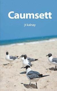 bokomslag Caumsett: A Ghost Story