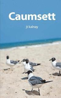 Jt Kalnay - Caumsett: A Ghost Story, Häftad. Tillgänglighet: Lägg i varukorg