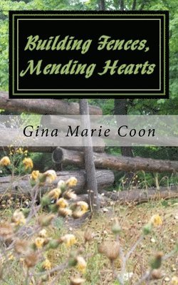 bokomslag Building Fences, Mending Hearts