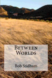 bokomslag Between Worlds